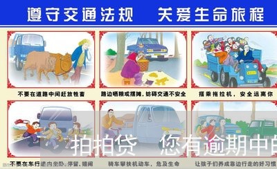 拍拍贷 您有逾期中的列表